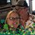 Dwayne-Dianna Fuller's profile image