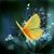 Rita Soriano's profile image