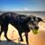 Liz Sovacool's profile image