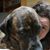 Sheena Nolin's profile image