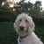 Debra Oxley's profile image