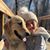 Regina Korby's profile image