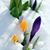 Candace J. Davis's profile image