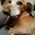Robyn Johnston's profile image