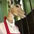 Scott Bourque's profile image