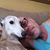Thane Katz's profile image