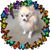 Linda Koniecke Cooney's profile image