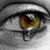 Clara Dos Santos Almeida's profile image