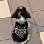 Rachael Norquist Lesch's profile image
