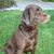 Harley Brown's profile image