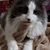 Joan M. Bird's profile image