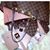Alexis Love's profile image