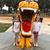 Nancy Riddle Eberle's profile image