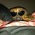 Brandon Lehr's profile image