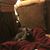 Wayne F Horsman's profile image