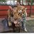 Justin Jones's profile image
