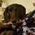 Sherri Steeneck's profile image