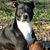 Bogart SeaDog's profile image