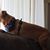 Steven Dorchak's profile image