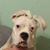 John Byles's profile image