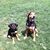 Julie Weigle's profile image