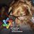 Maureen LeBoeuf Noll's profile image