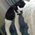 Penny LaBelle's profile image