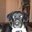 Matthew Cloy's profile image