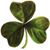 Timcher Heine's profile image