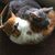 Barbara Marlett's profile image