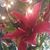 Lori Jean Keating Wright's profile image