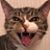 Rachel Lowman's profile image
