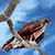 Steve Hinds's profile image