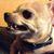 Jeff Hibbard's profile image
