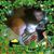 Tracey O'Boyle Mathews's profile image