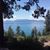 Patricia Ann Donahue's profile image