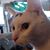 Scott Alberts's profile image