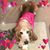 Kathie Duso's profile image
