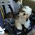 Connie Jones Donkin's profile image