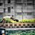 Krishna Dhole's profile image