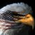 Matt Steffen's profile image