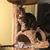 Colleen Krauter Lmt Ntp's profile image
