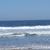 Sheri Selzer's profile image