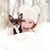 Melanie Schumann's profile image