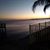 Debbie Petralia's profile image