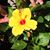 Regina Olcott's profile image