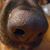 Leslie AP's profile image