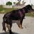 Rstylzrd Lxi's profile image