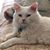 Debbie Crumbley Adams's profile image