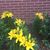 Donna Bible Singleton's profile image